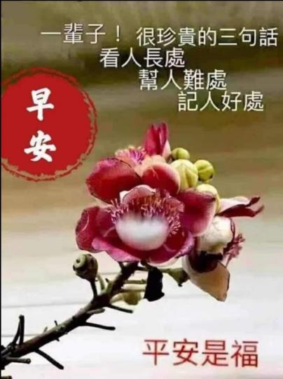 IMG-20230814-WA0000