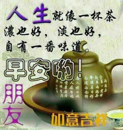 IMG-20250221-WA0001