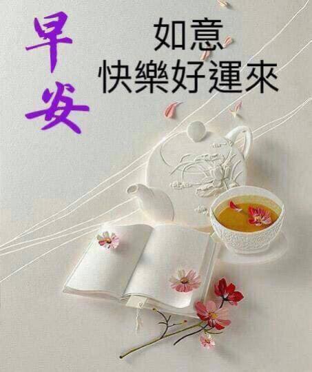 IMG-20250227-WA0006