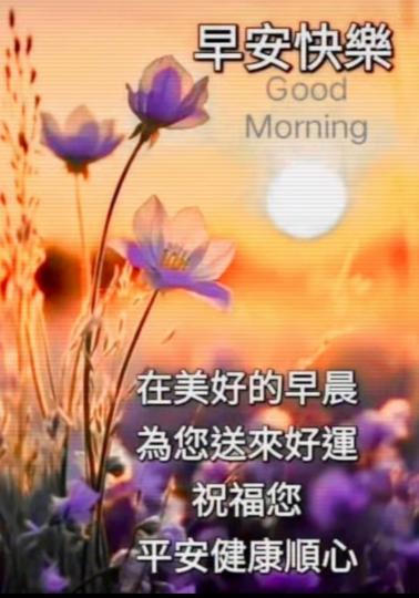 IMG-20250302-WA0010