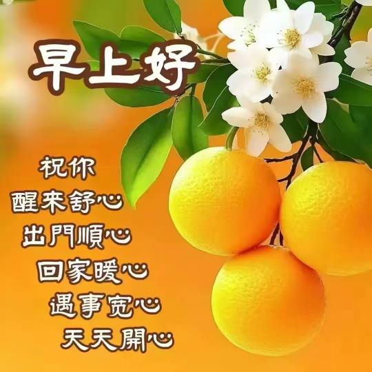IMG-20250602-WA0018