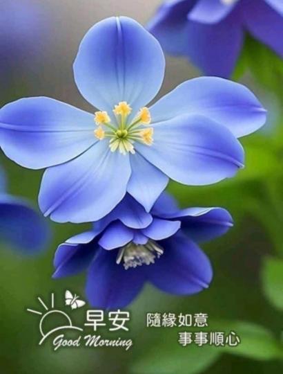 IMG-20250609-WA0003