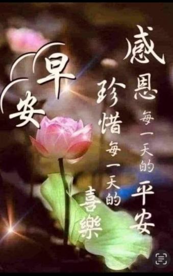 IMG-20250801-WA0005