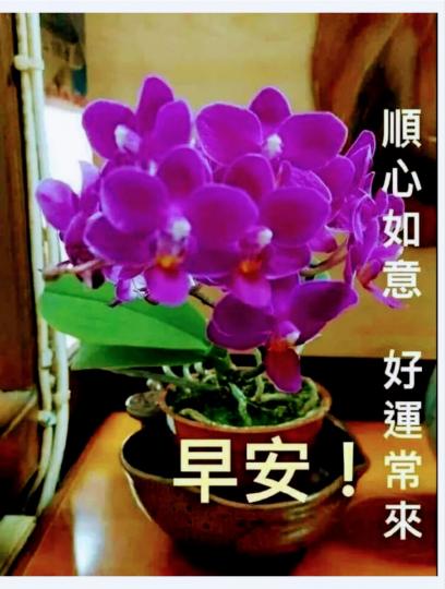 IMG_20210223_190431