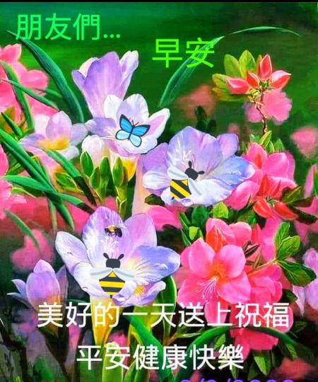 IMG_20211006_193656