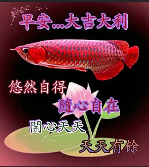 IMG_20220601_172251