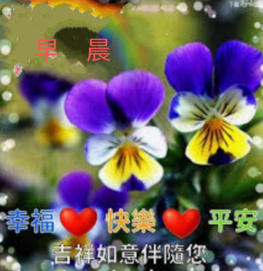 IMG_20220627_172251