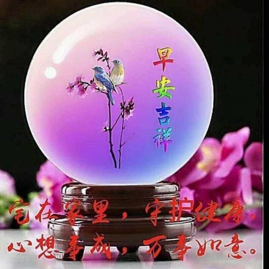 mmexport1587255031202