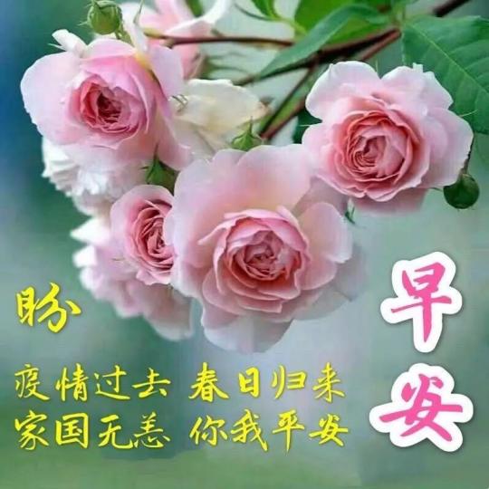mmexport1588296088814
