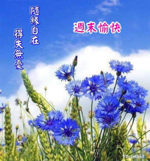 mmexport1588987856697_0