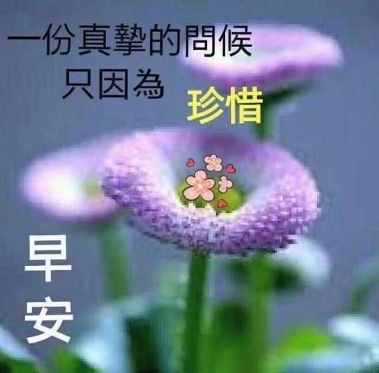 mmexport1589675932952