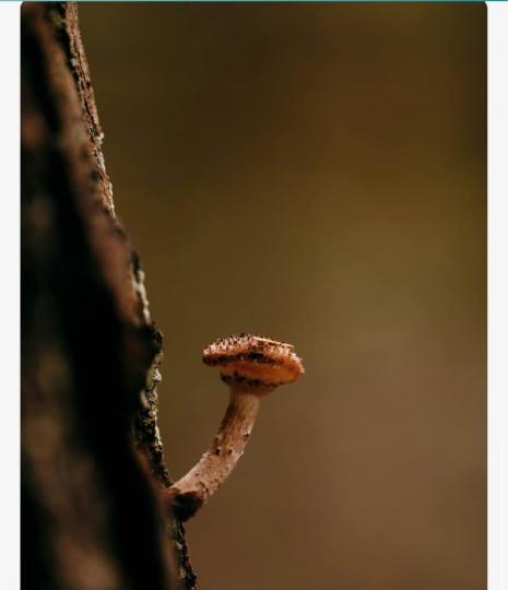 0120EA21-8549-4D16-AFEB-4825E1280078-8612-0000021F442B7EB9