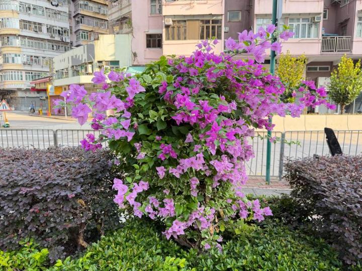 02E5E780-8FDD-4962-A8F9-82D8223201E8-779-00000006F44F0932