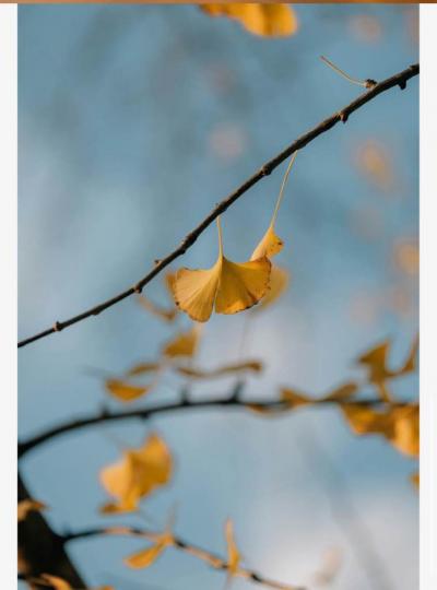 03CD56EB-99BC-4662-8B3B-031A29EFC1CF-20209-0000060D46125178