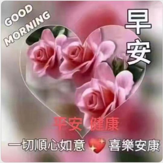 07343DD7-FD5F-413D-A678-B03EB1B57F50-1257-000001560717288E
