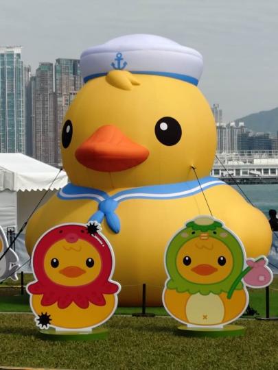 080C2E0B-4D7A-483C-A27B-E681659A8EC7-526-00000032CDA1FDBA