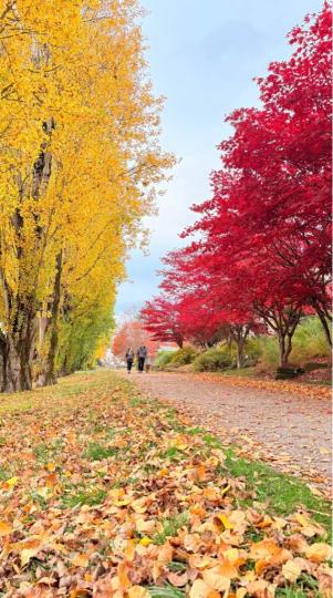 0E825534-C563-4A38-A6D4-F8965DE863B1-1478-0000002907B5ADE9