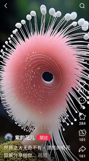 1000003349_0