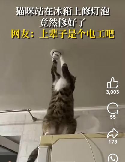 1000009657