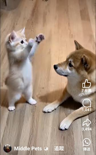 1000010578