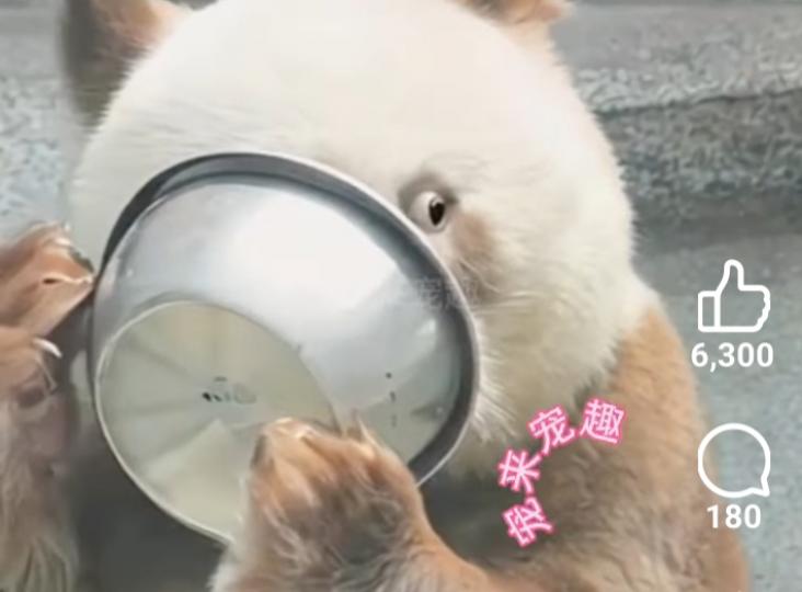 1000011848