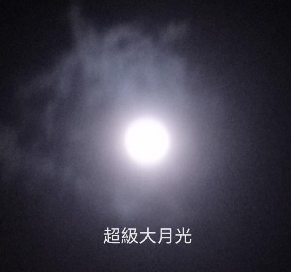 1000013064_0