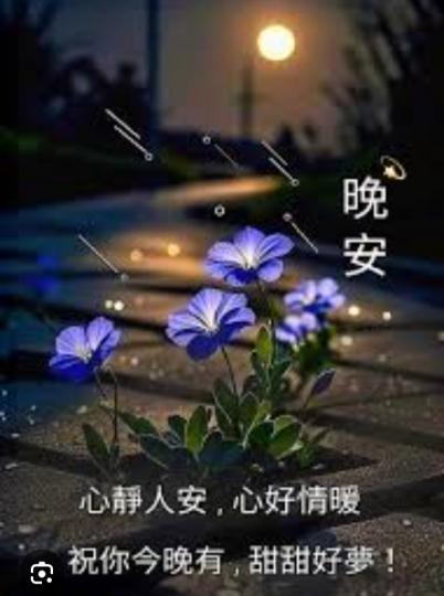 1000013251