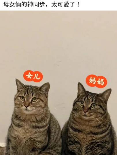 1000013838