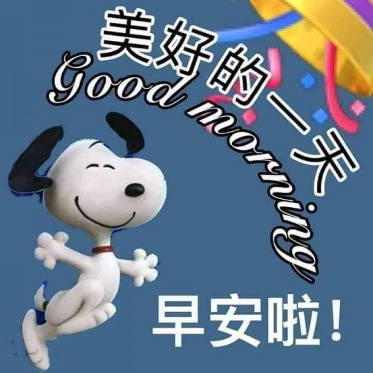 1000014559