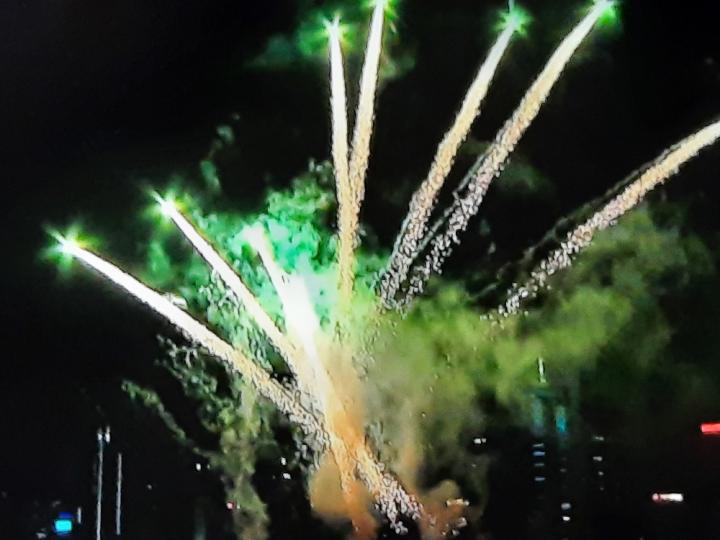 1000020158