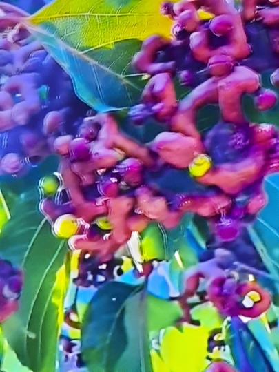 1000020192