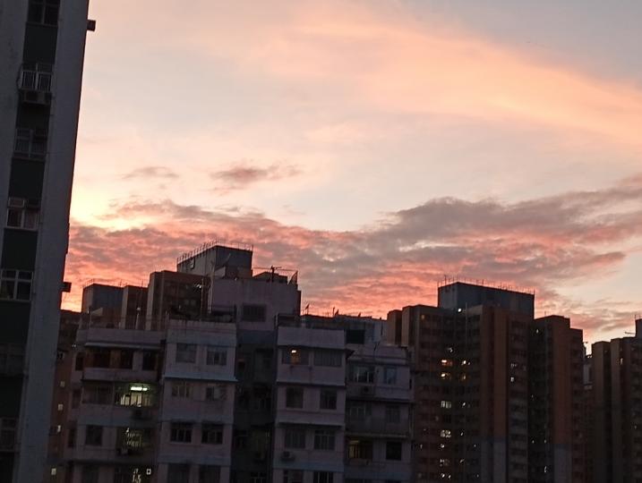 1000022381