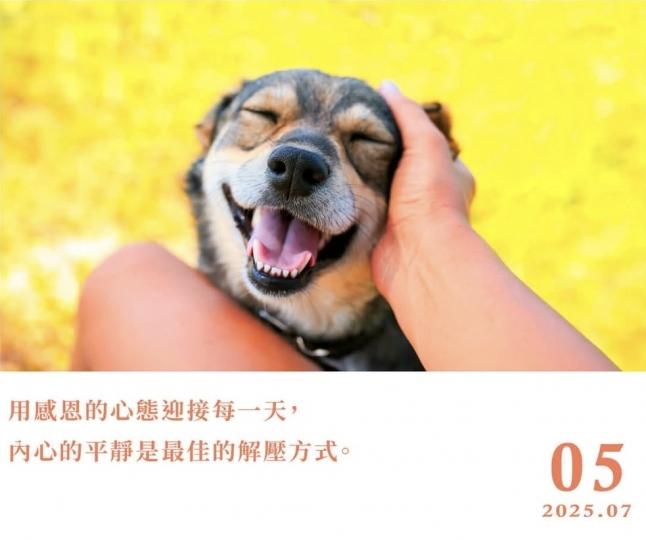1000064711