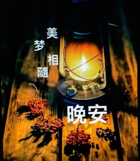 1021765404