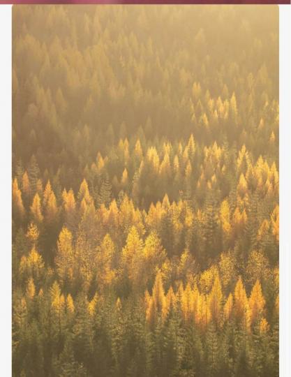 1039062B-E800-4321-ADF5-D6382624F324-6042-0000022FE274E18C