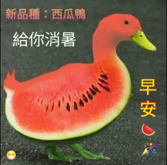 120953