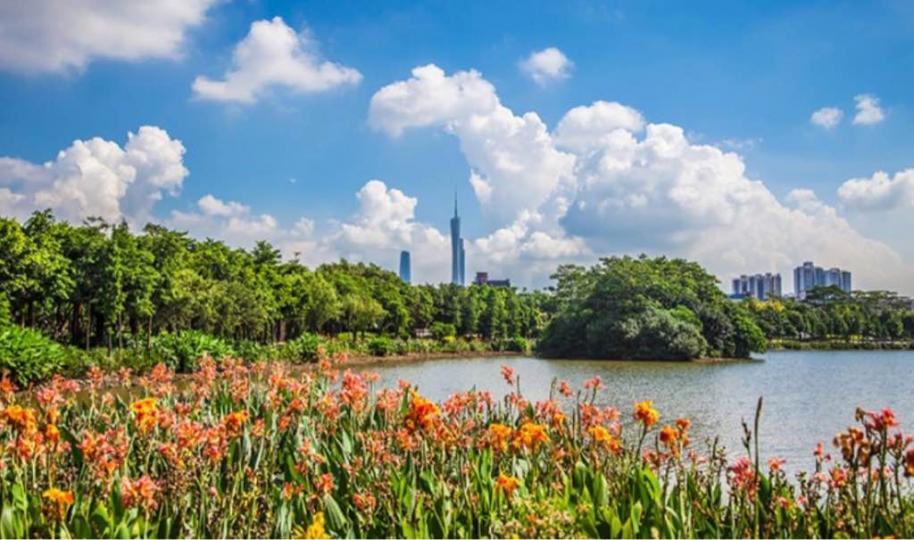 12AD2372-03C1-4162-A4A0-E5876915E2F7-1478-0000002C11C1EC24