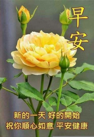1430865910