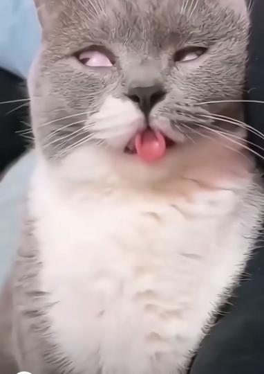 14327