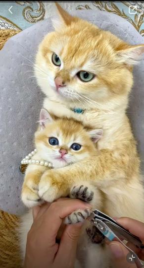 15100