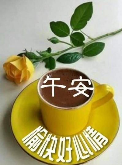 15949
