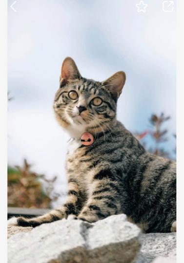 162769C3-06C9-4656-9FFC-DC0DAE35FF83-27897-0000087FA1202213