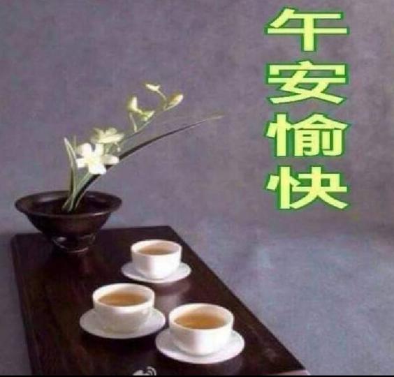 16551