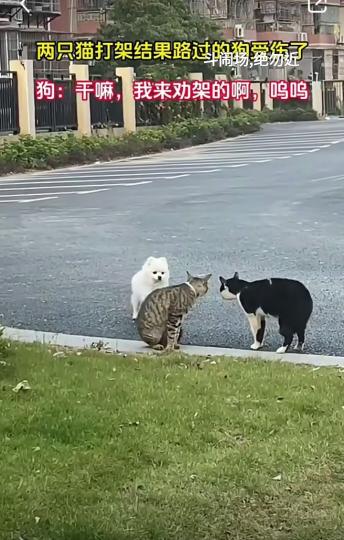 17312