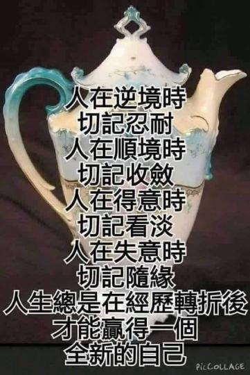 17567