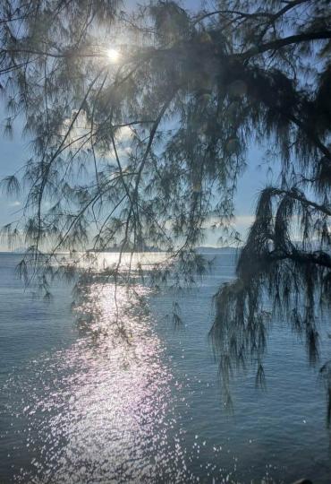 1828AE7D-D423-4440-8F2E-F9BCA9406196-726-00000013E19A6386