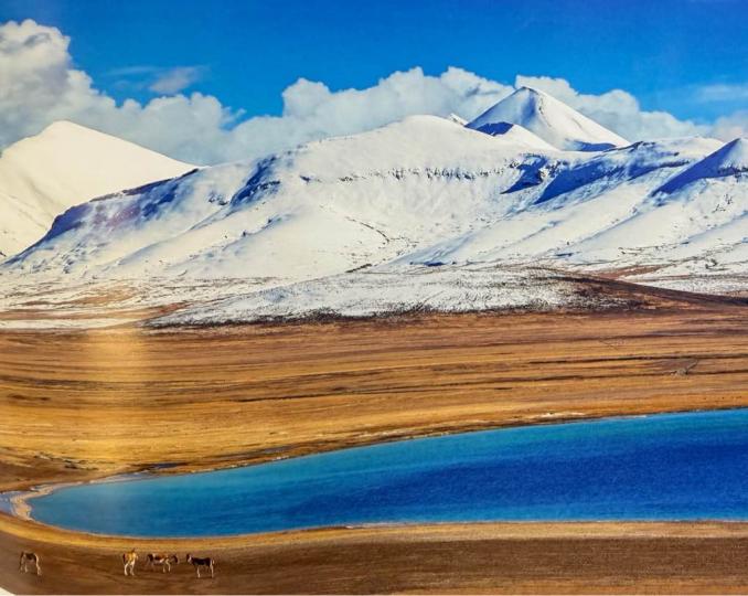 1911BD38-975E-4961-99B1-640F99D41817-1868-0000002E1BEF9B92