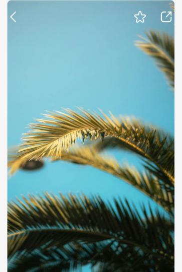 1A6015C4-DA58-4981-9B3D-953AD9EE1733-11867-0000043D23E00CA6