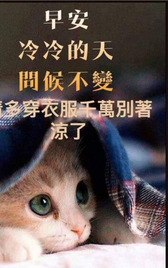 2017700311