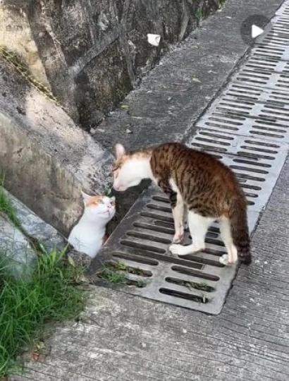 20607